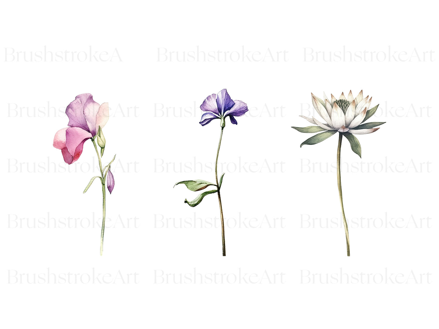 free png images