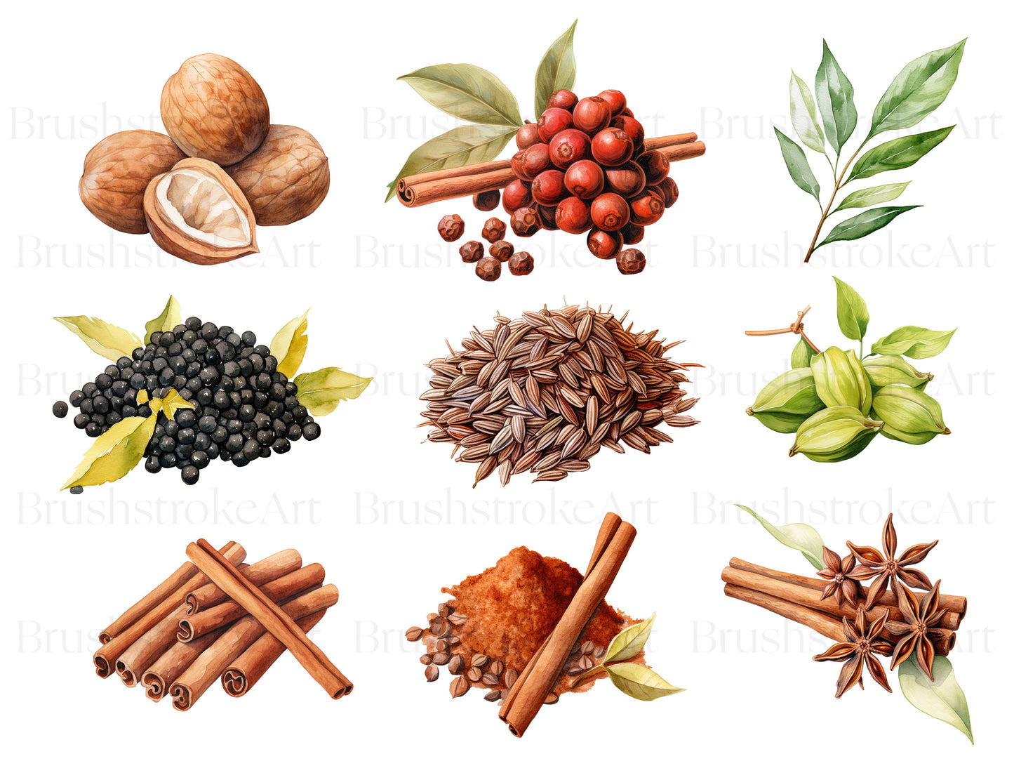 herbs and spices