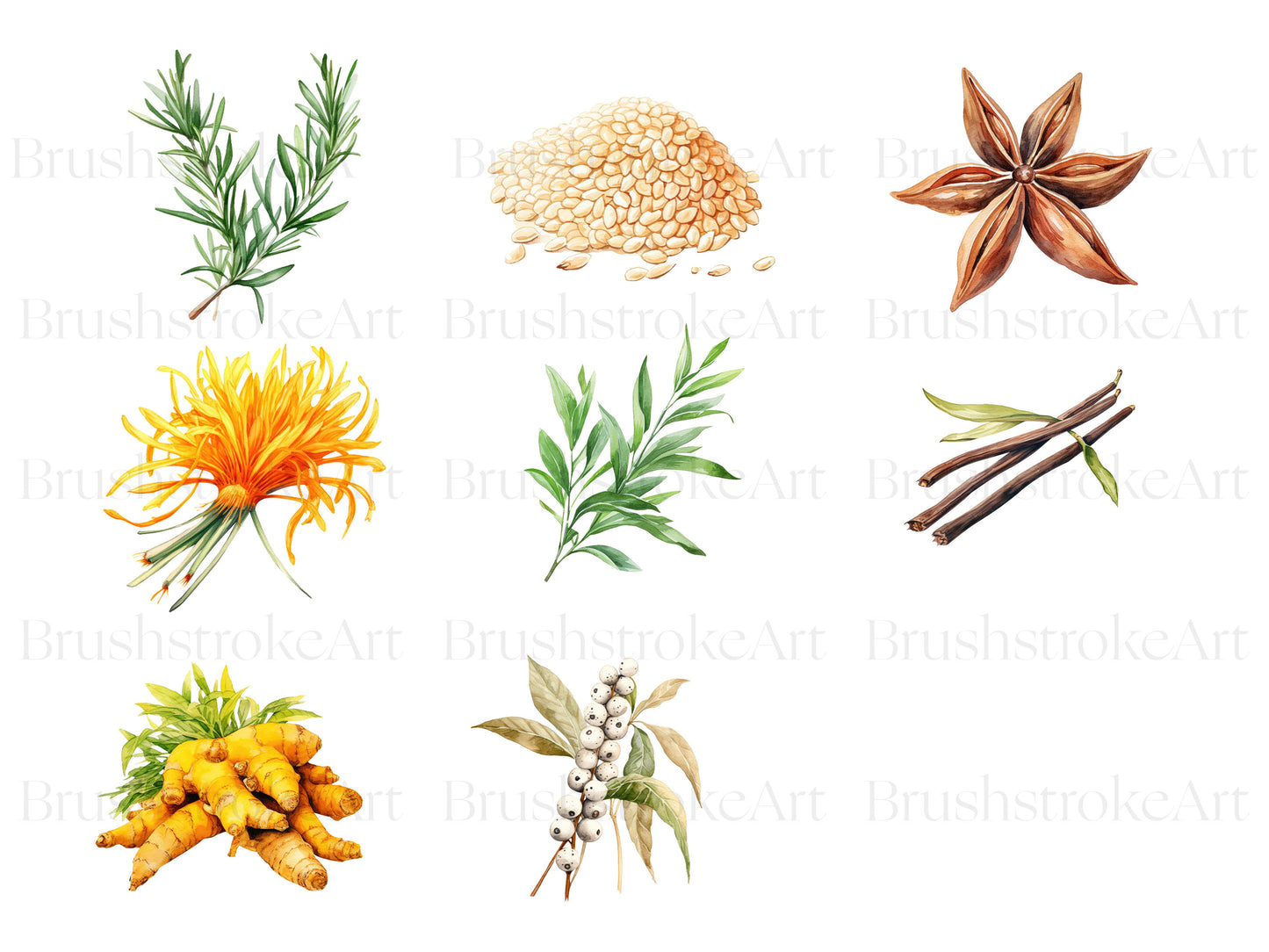 herbs clipart