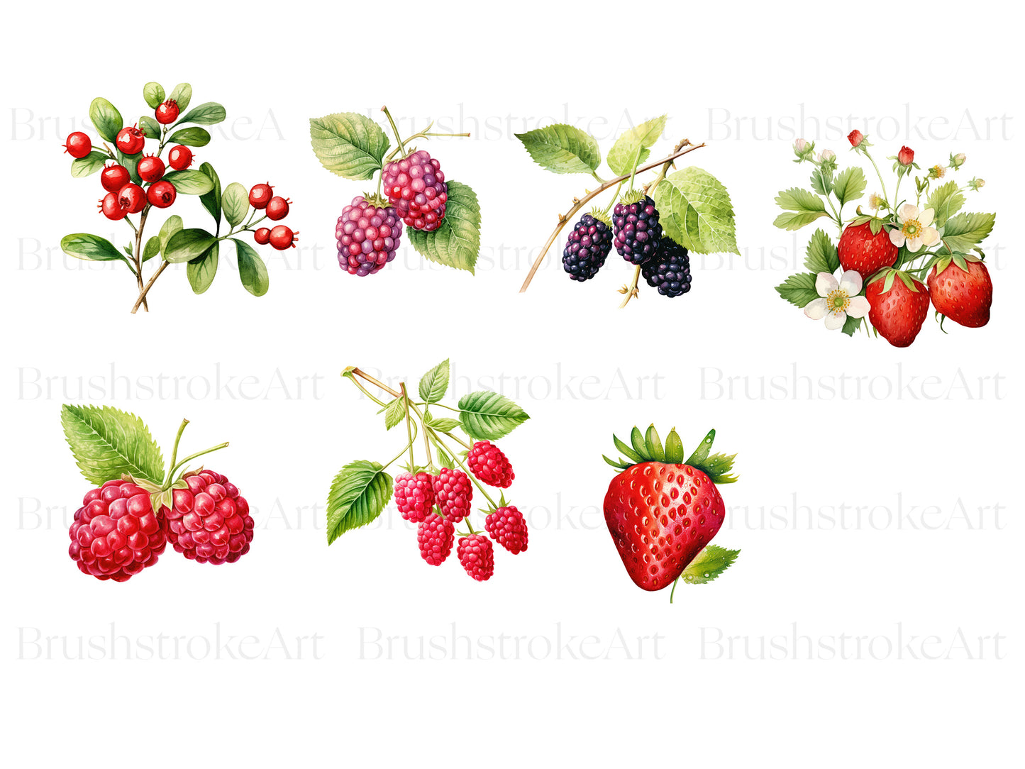 raspberry clipart