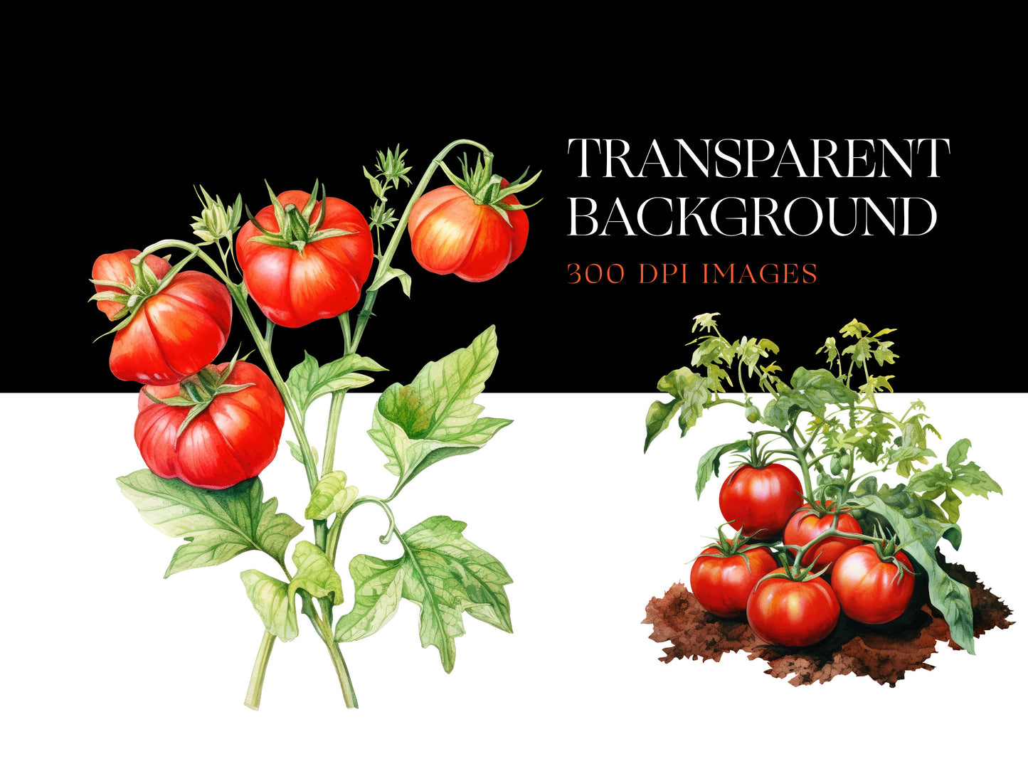 vegetable png