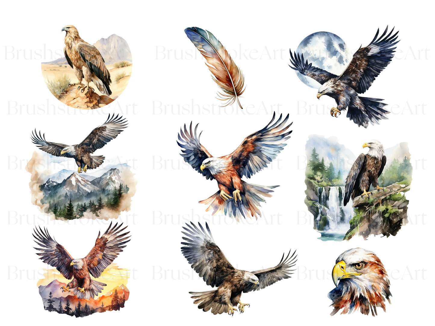 watercolor bird