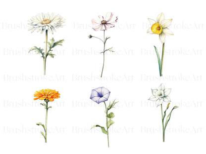 10 flowers clipart