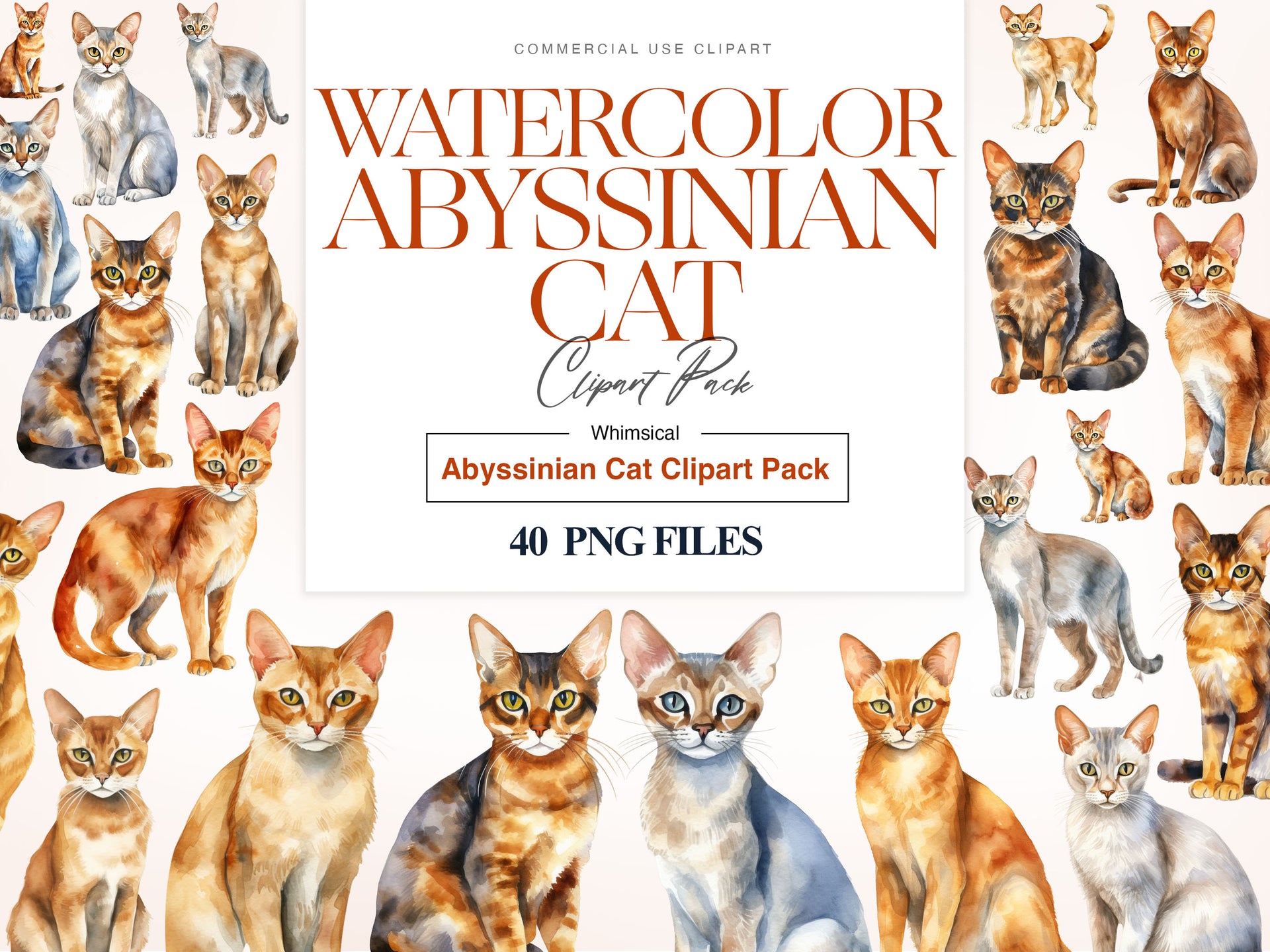 Abyssinian Cats Clipart, Domestic Cat Breeds, Abyssinian