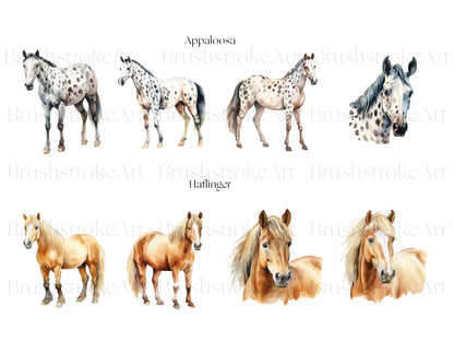 Appaloosa Clipart