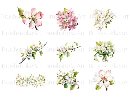 Apple Blossom Flower