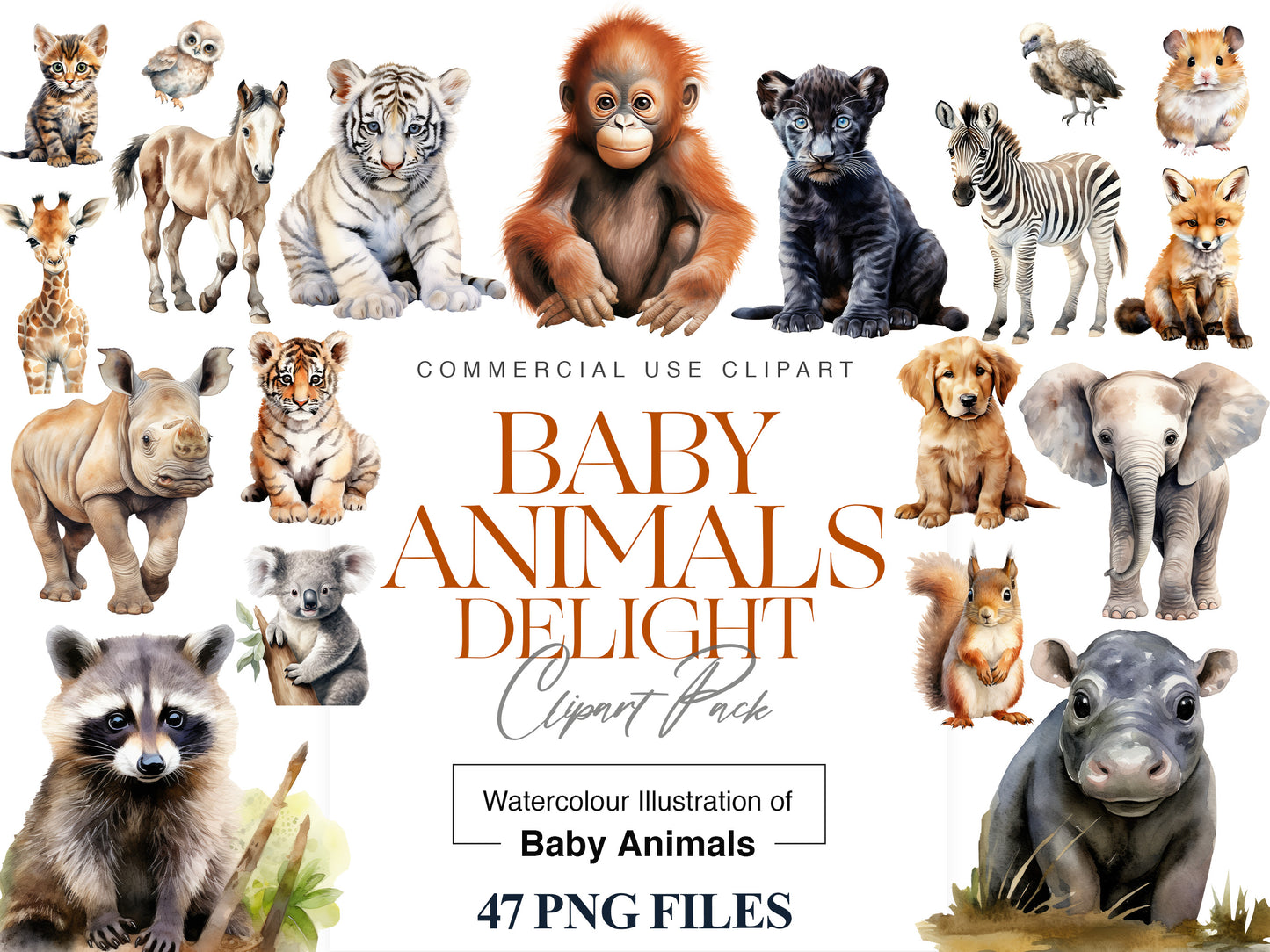 Baby animal Clipart