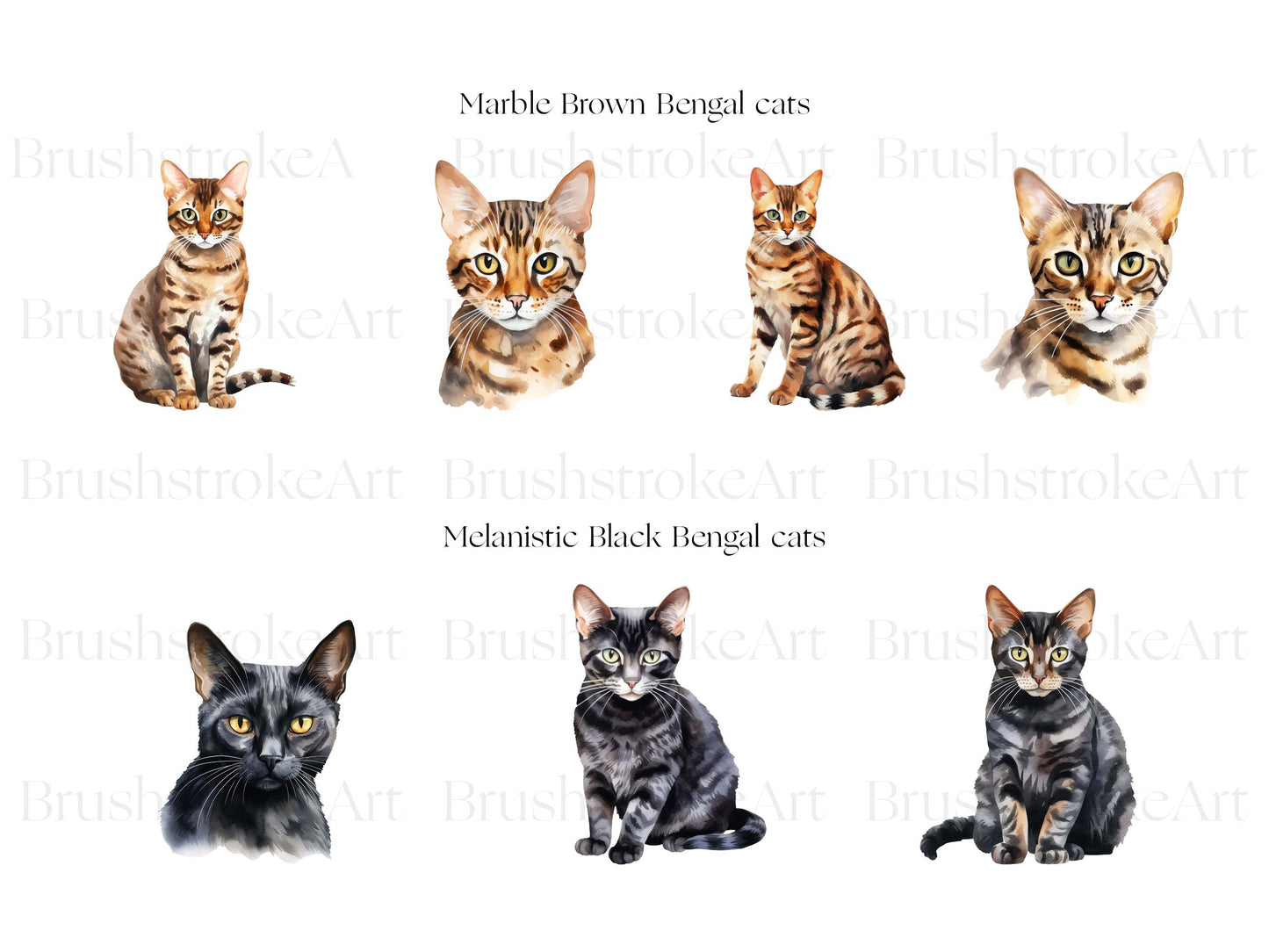 Bengal Cat Art