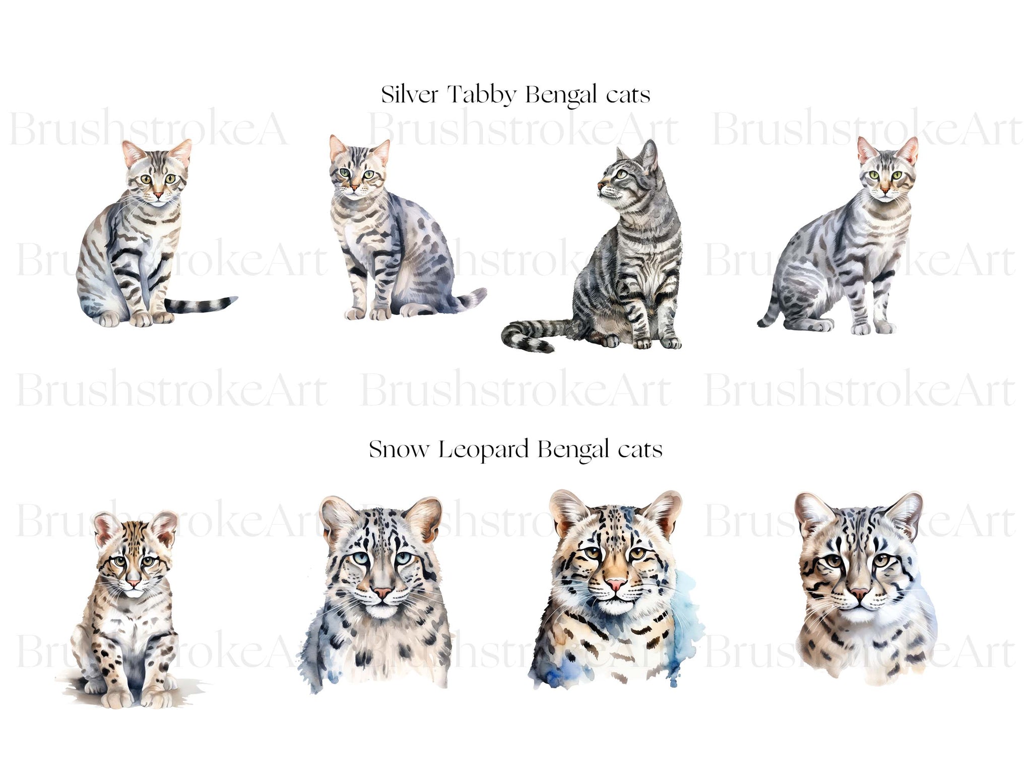 Bengal Cat Clipart, Cute Bengal Kitten, Pet Cat, Bengal Cat – Clipartset
