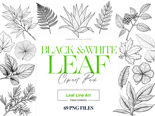 Black and White Leaf