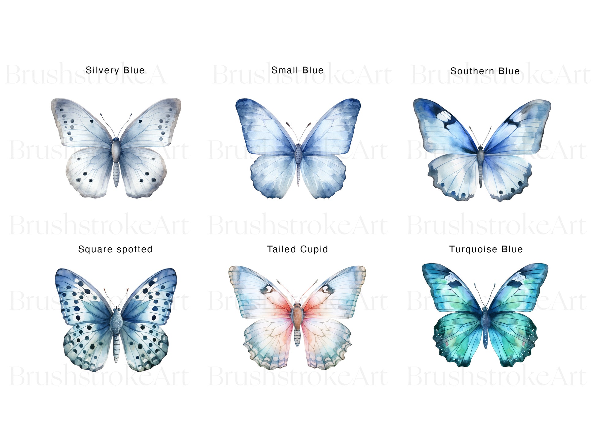 Blue Pansy Clipart