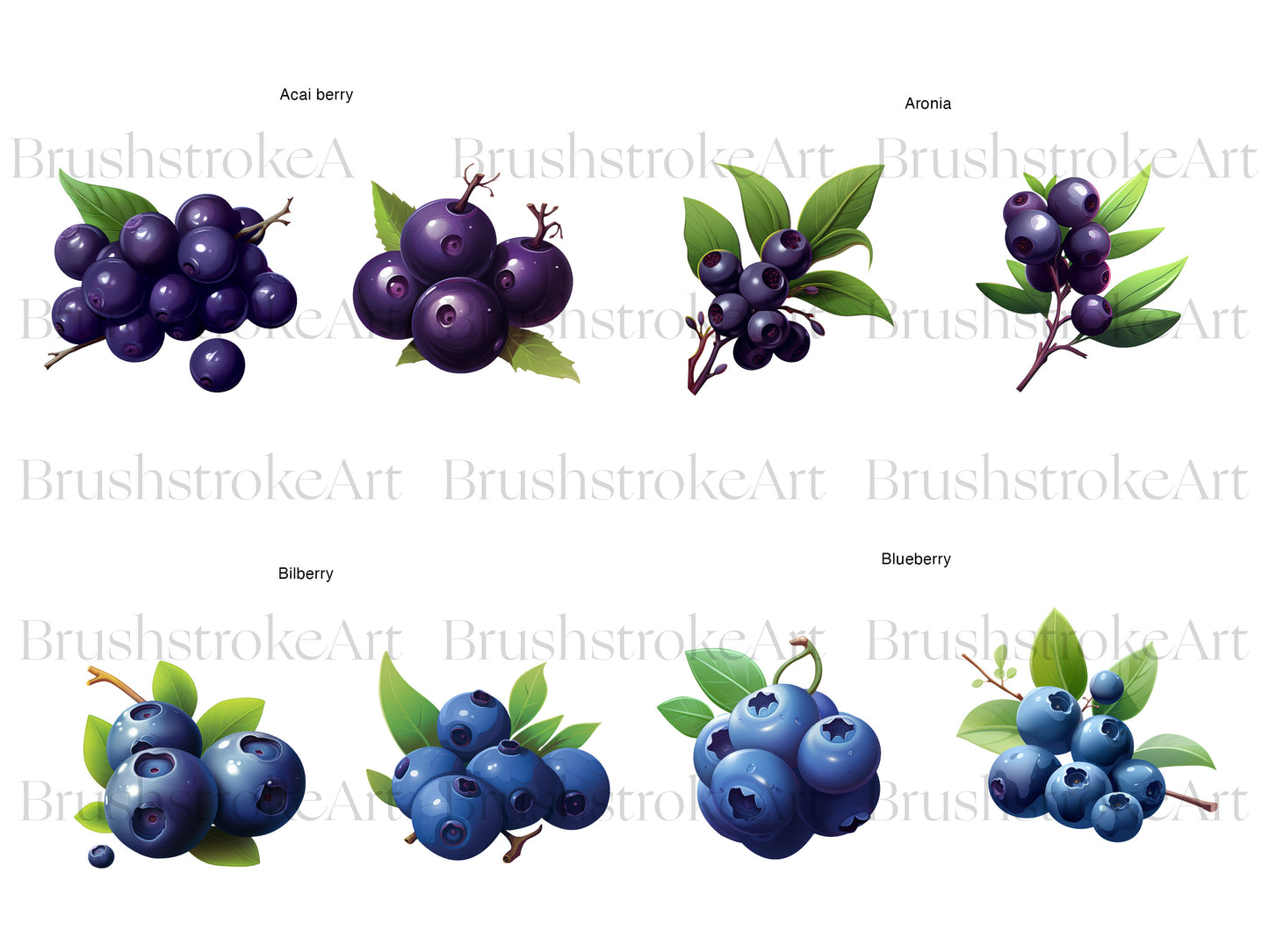 Blueberry Clipart