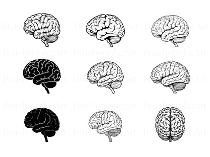 Brain Clipart