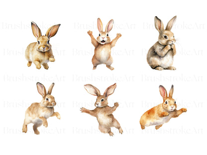 Bunny Rabbit Clipart