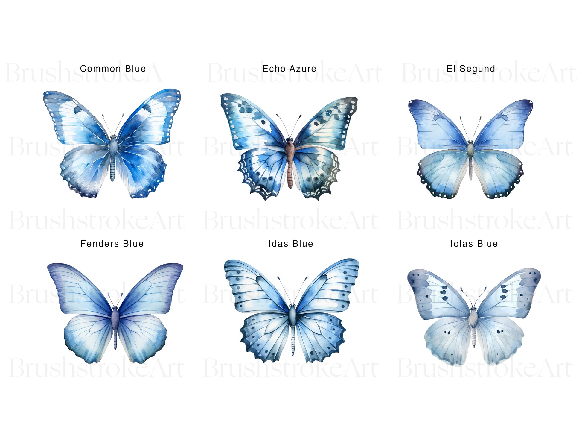 Butterfly Sticker