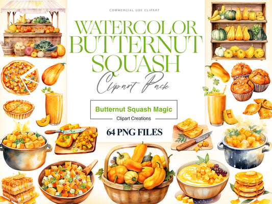 Butternut Squash