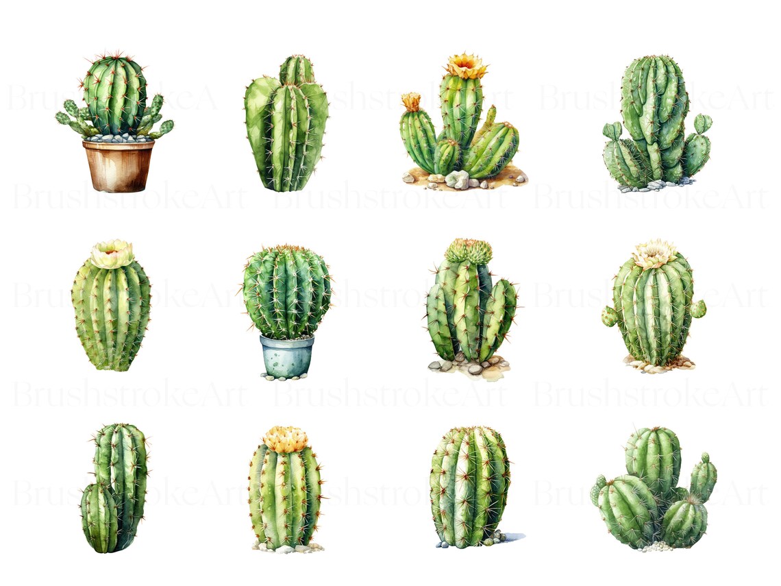 Cactus Pots Clipart