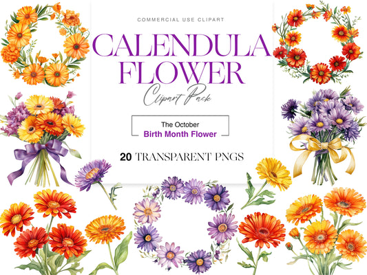 Calendula Clipart