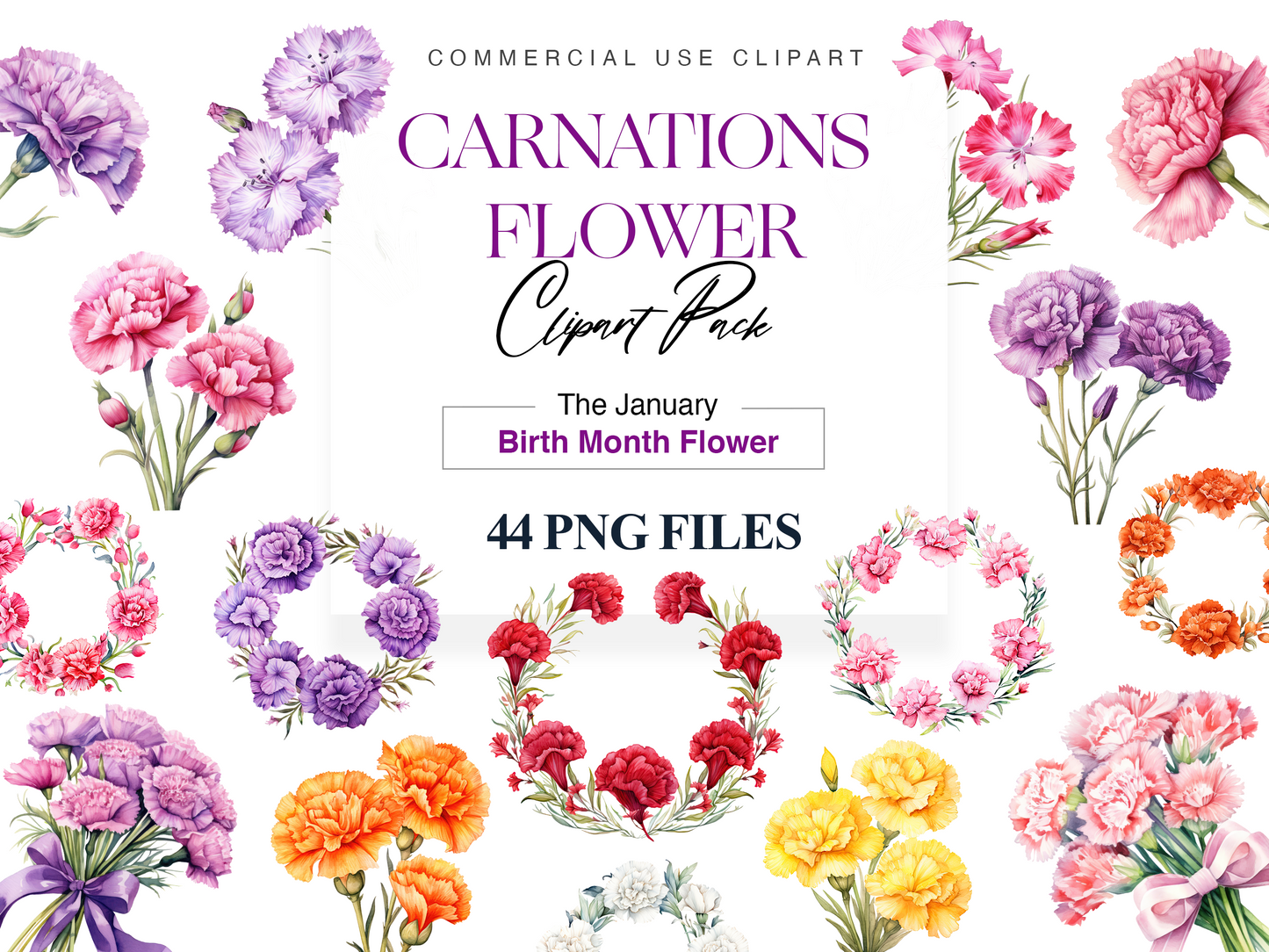 Carnation clipart