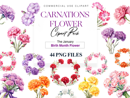 Carnation clipart