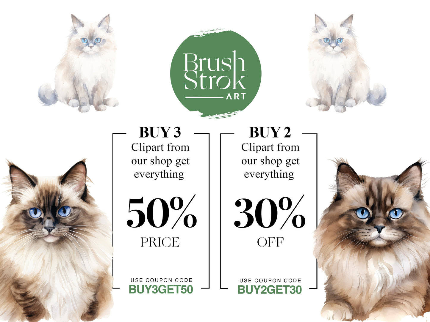 Ragdoll Cat Clipart, Ragdoll Kitten PNG, Long Haired Cat