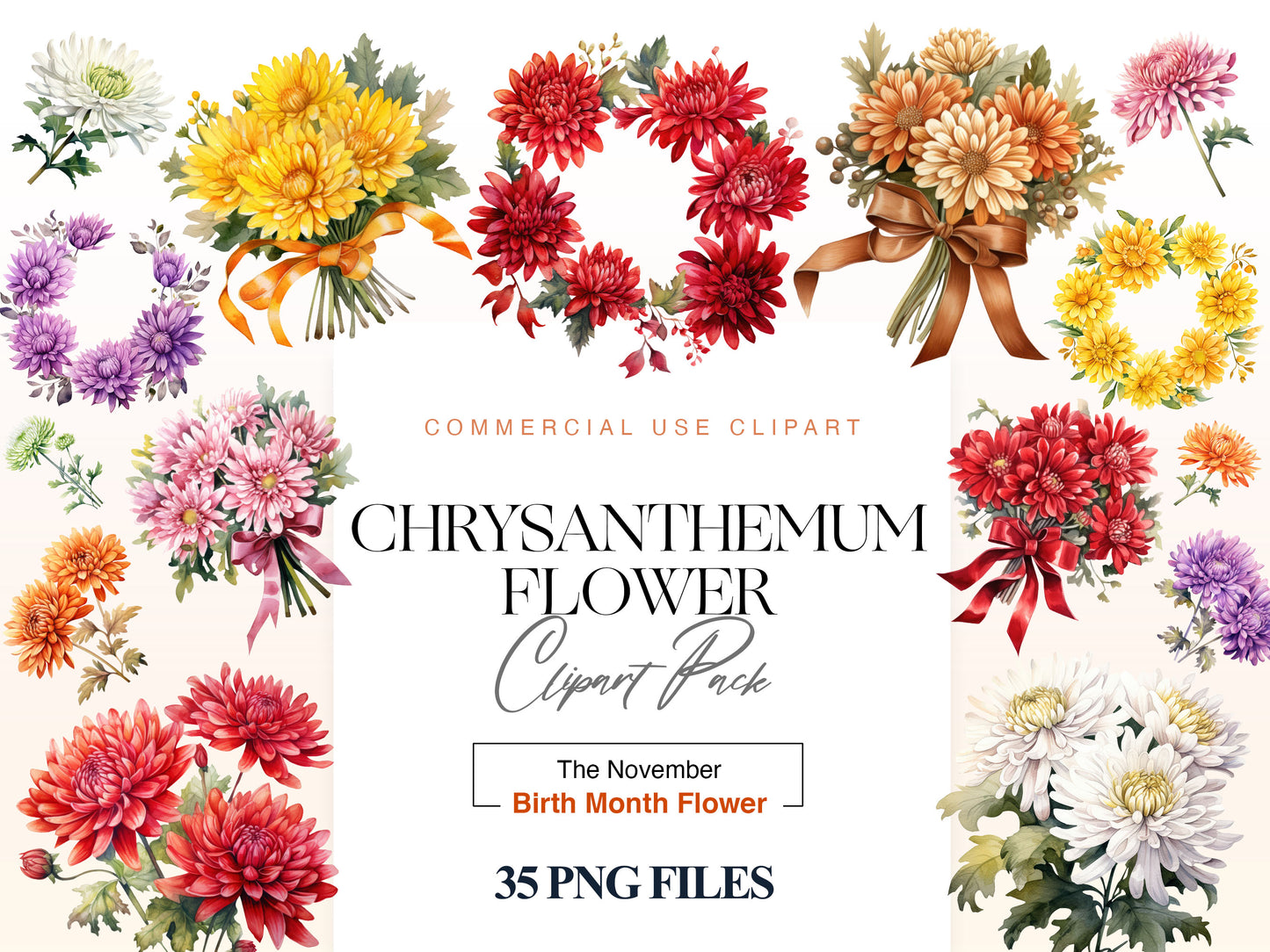 Chrysanthemum