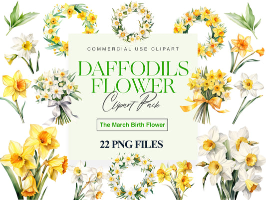 Daffodil clipart