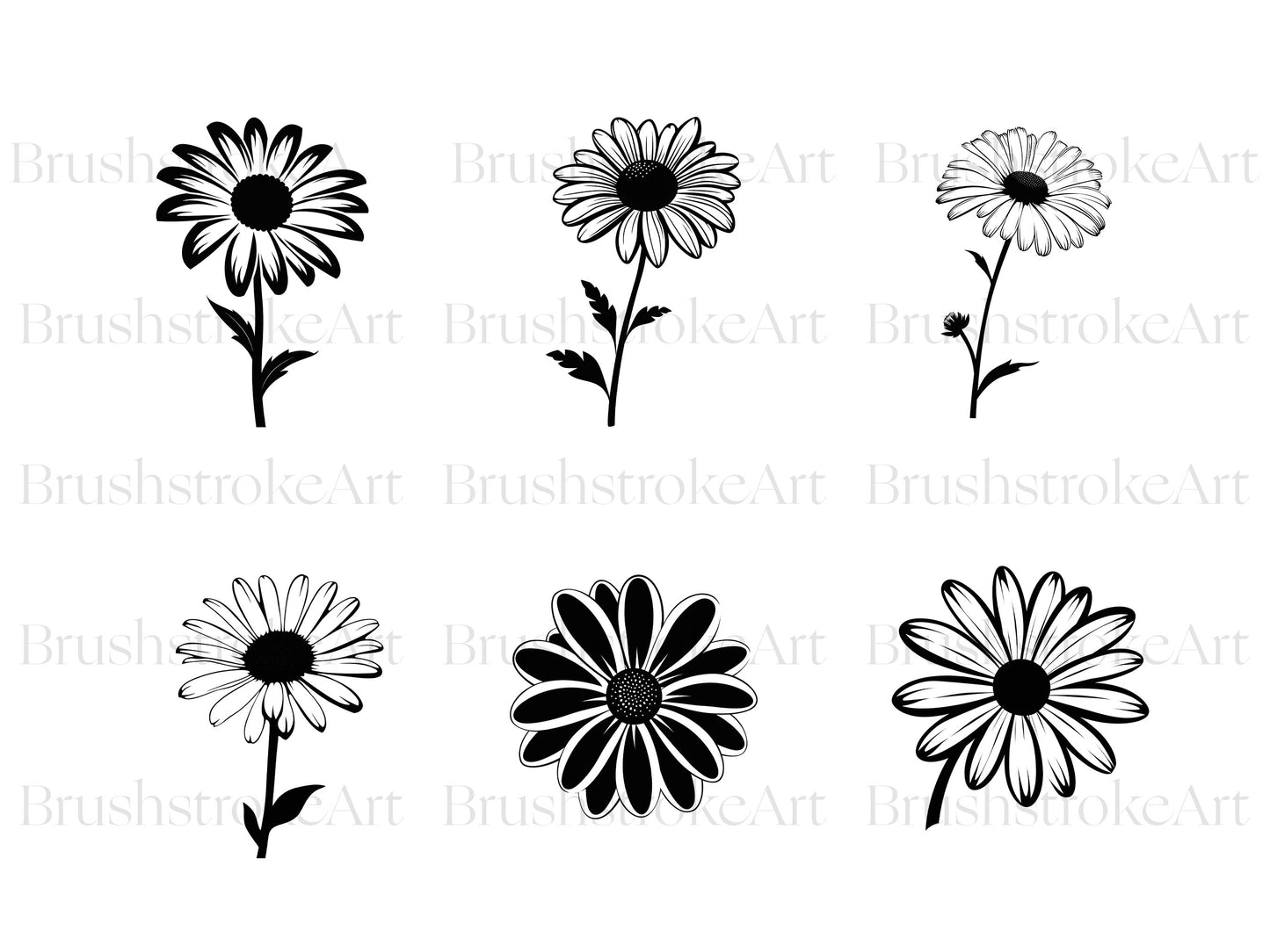 Floral Line Art