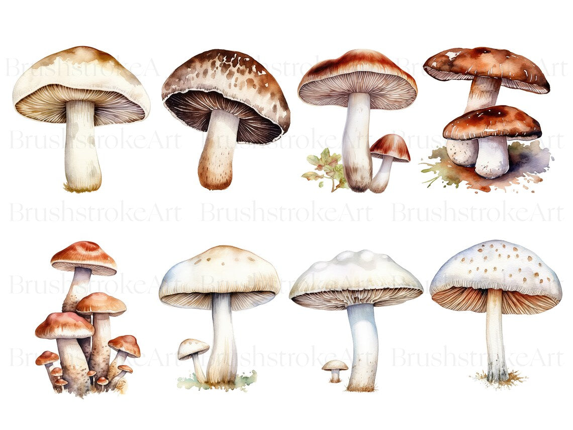 Fungi Art