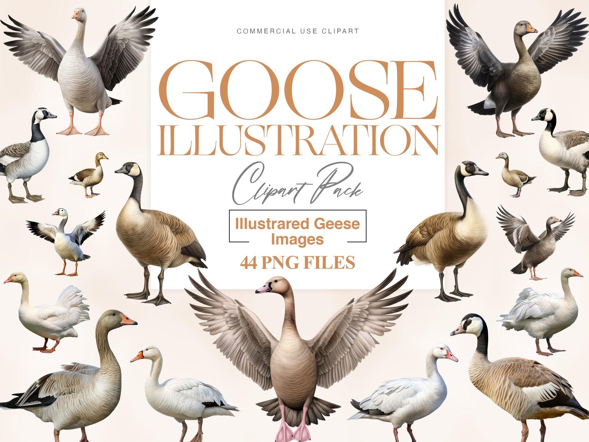 Goose Clipart