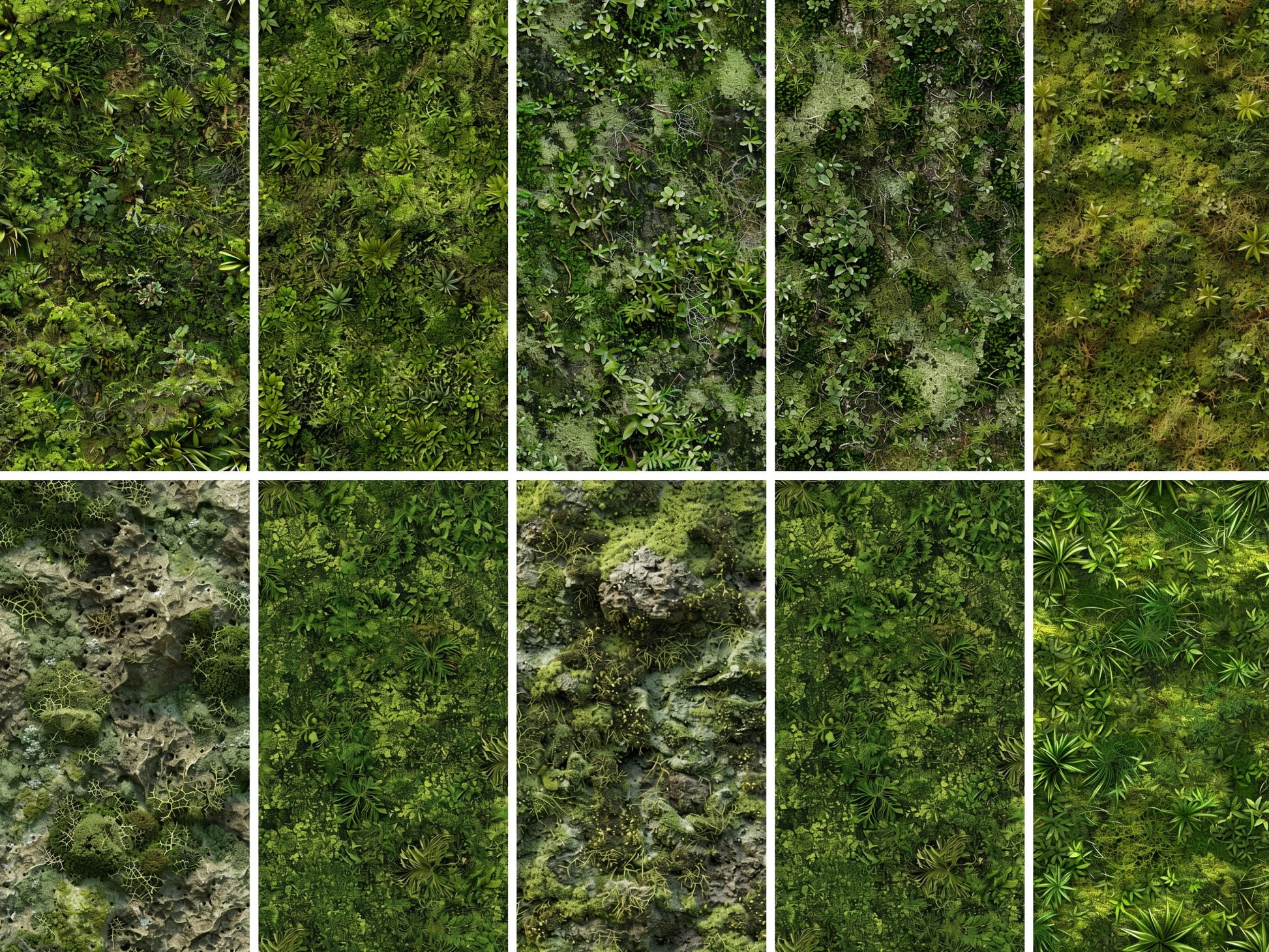 Grass texture