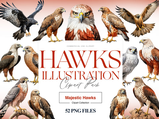 Hawk Clipart