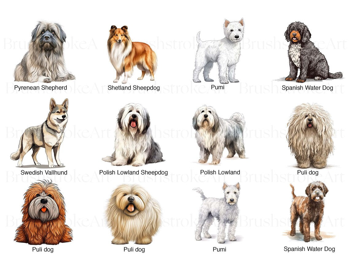 Herding Dog Breeds