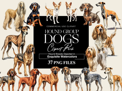 Hound Group Dogs