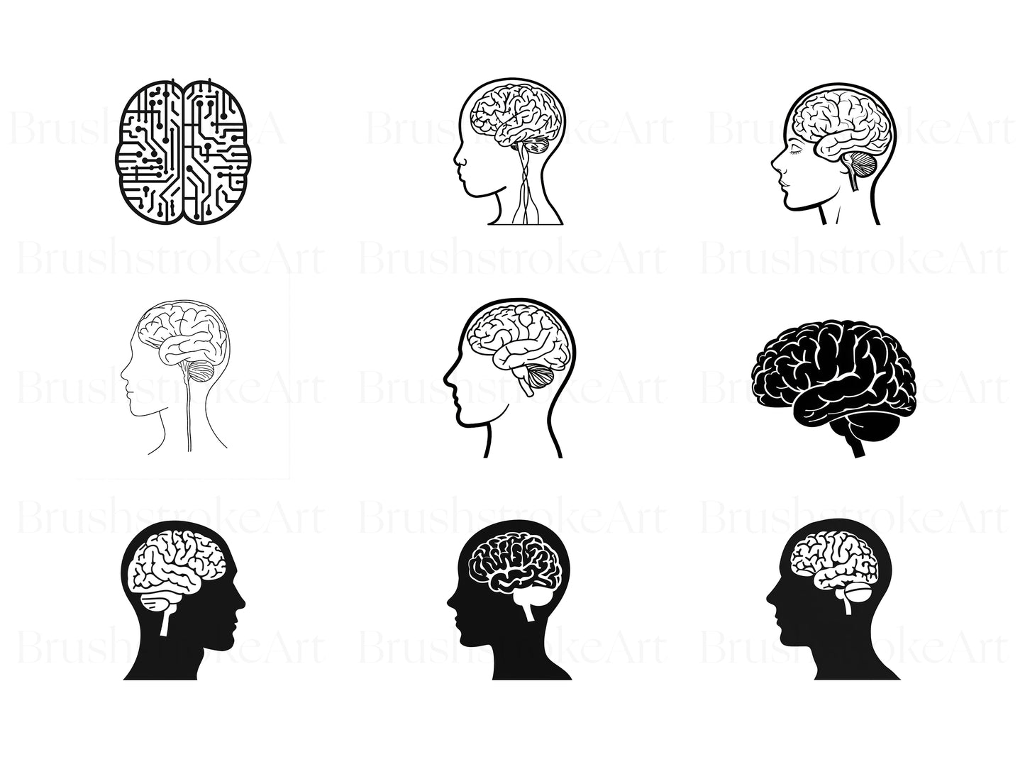 Human Brain PNG