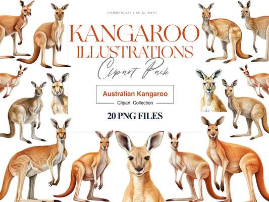 Kangaroo Clipart