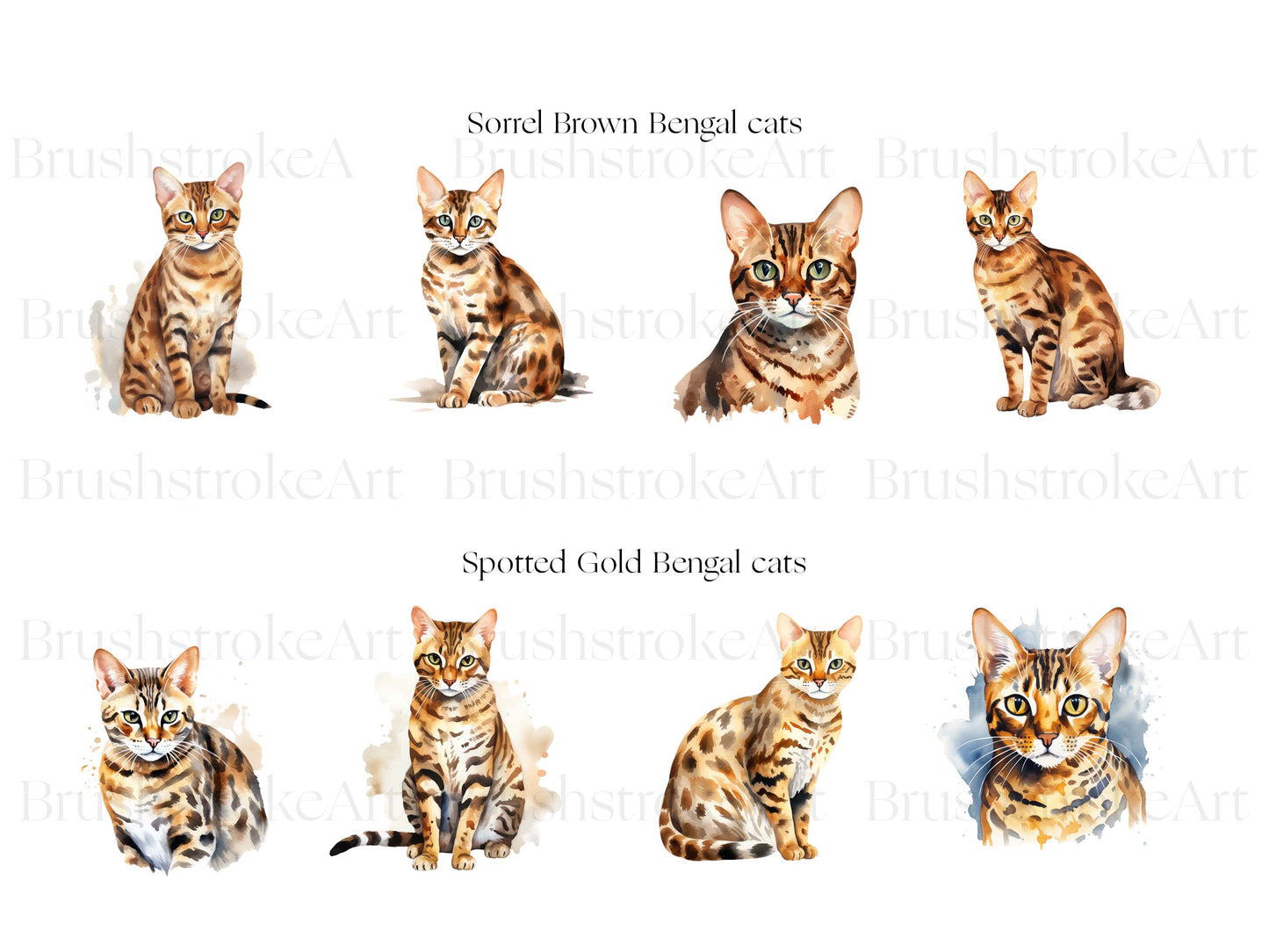 Kitten Clipart