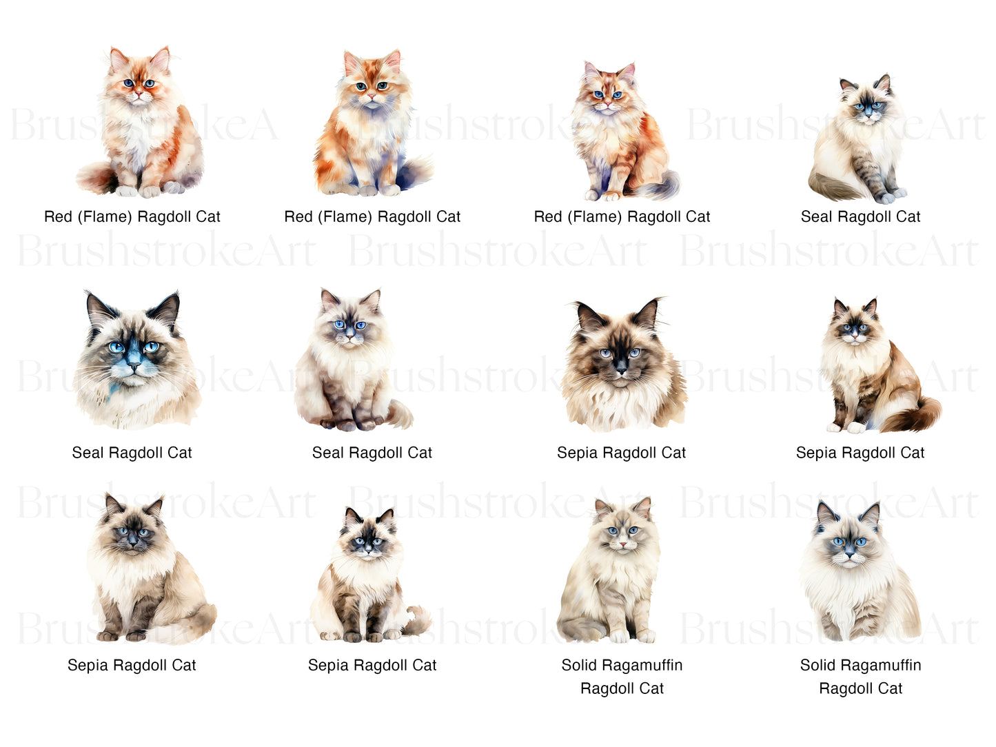 Ragdoll Cat Clipart, Ragdoll Kitten PNG, Long Haired Cat