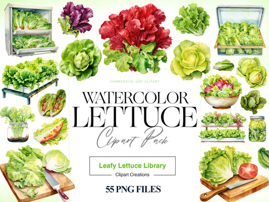 Lettuce Clipart