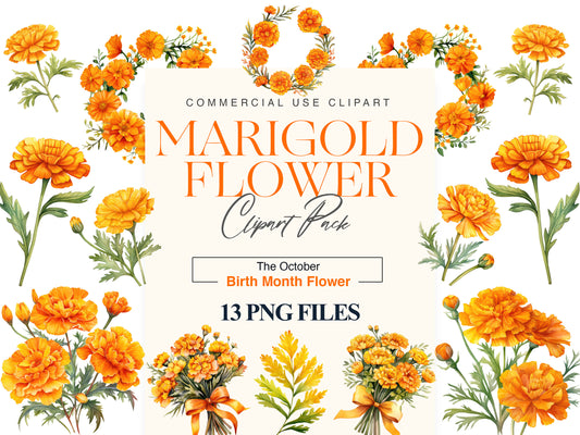 Marigold clipart