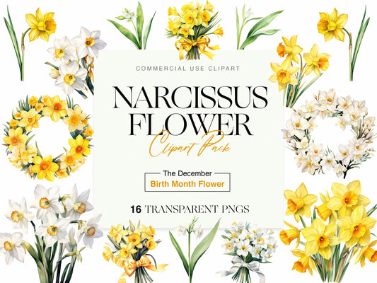 Narcissus clipart