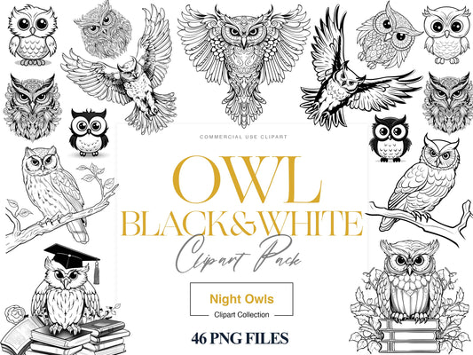 Owl Clipart