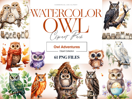 Owl Clipart