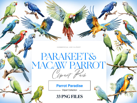 Parakeet Clipart