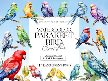 Parakeet clipart