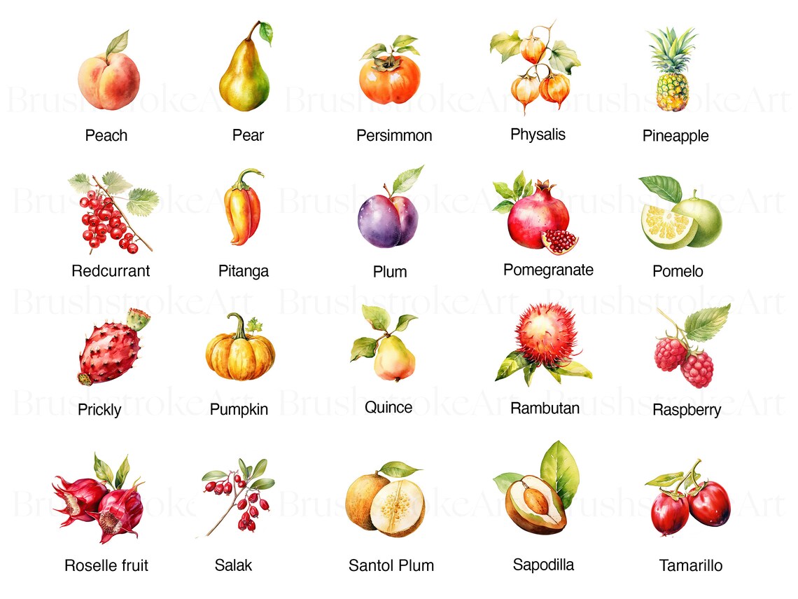 Pear Clipart