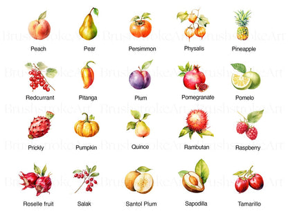 Pear Clipart