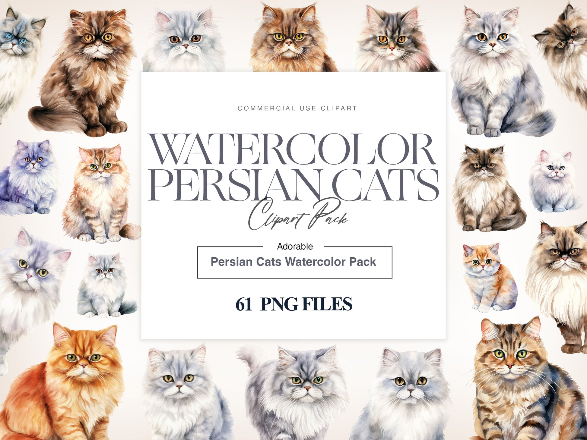 Persian Cat Clipart, White Persian Cat PNG, Persian Kitten