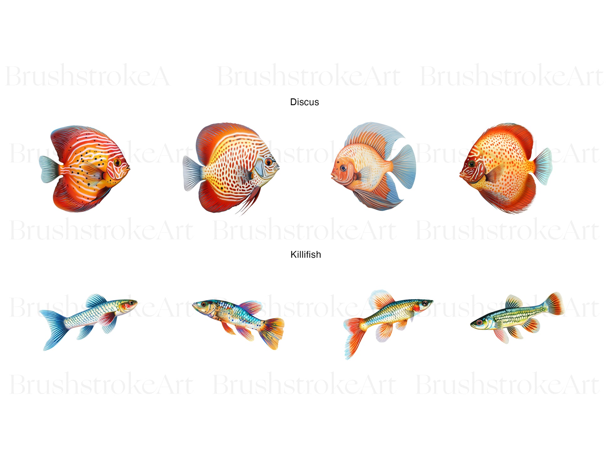 Tropical Fish Clipart, Guppies, Betta Fish, Pet Fish PNG