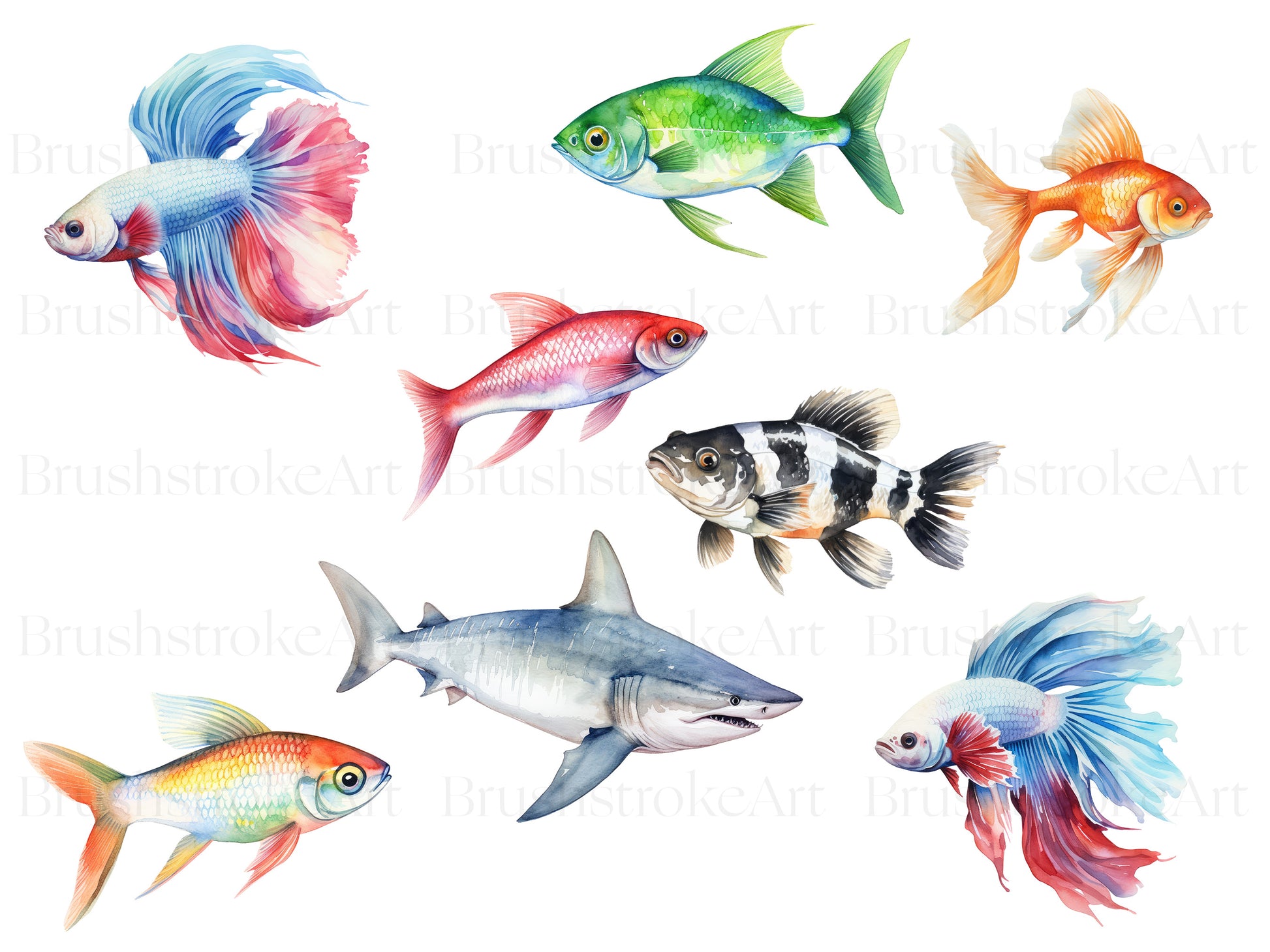 Pet fish clipart